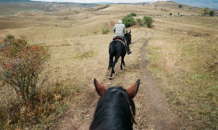 Equine Business Guide: Liability and COVID-19