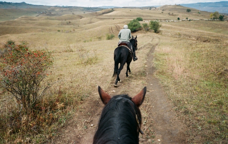 Equine Business Guide: Liability and COVID-19