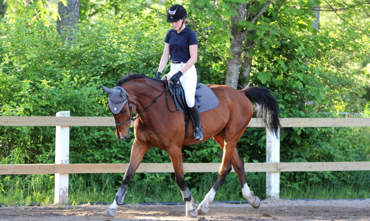 A man sitting on a horse